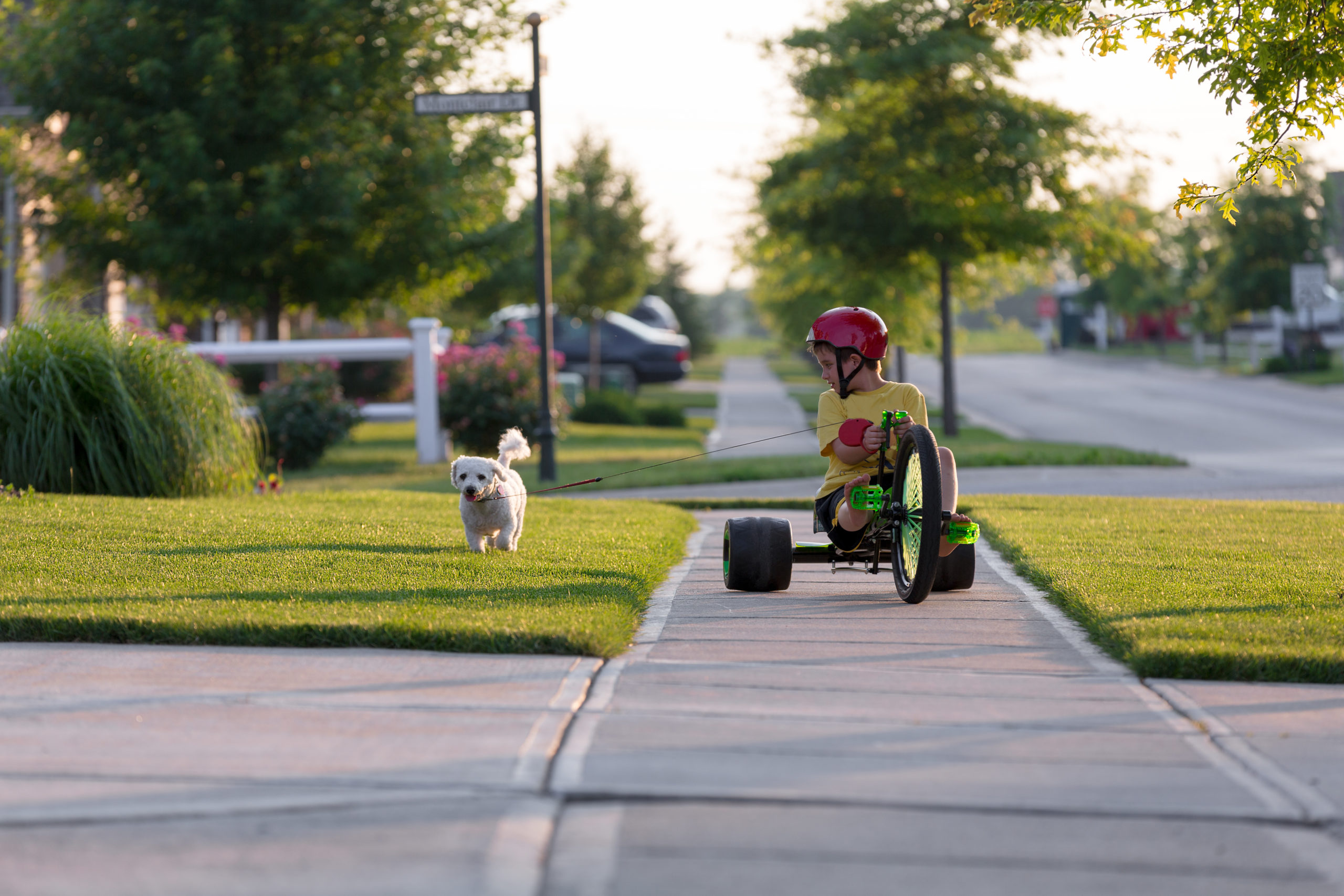 Walking the Dog with Tricycle in the Neighborhood